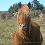 Torres Yuso