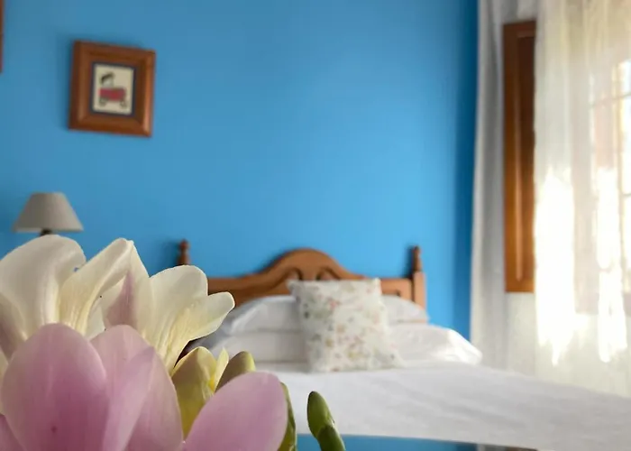 Han/Misafirhane Torres 2*