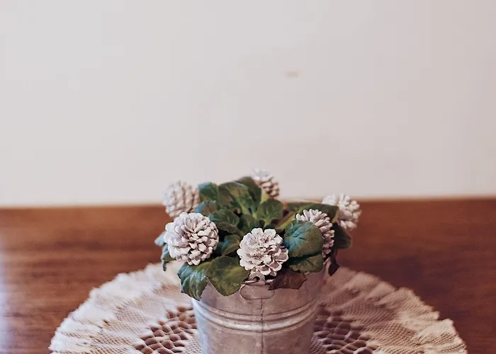 Han/Misafirhane Torres 2*